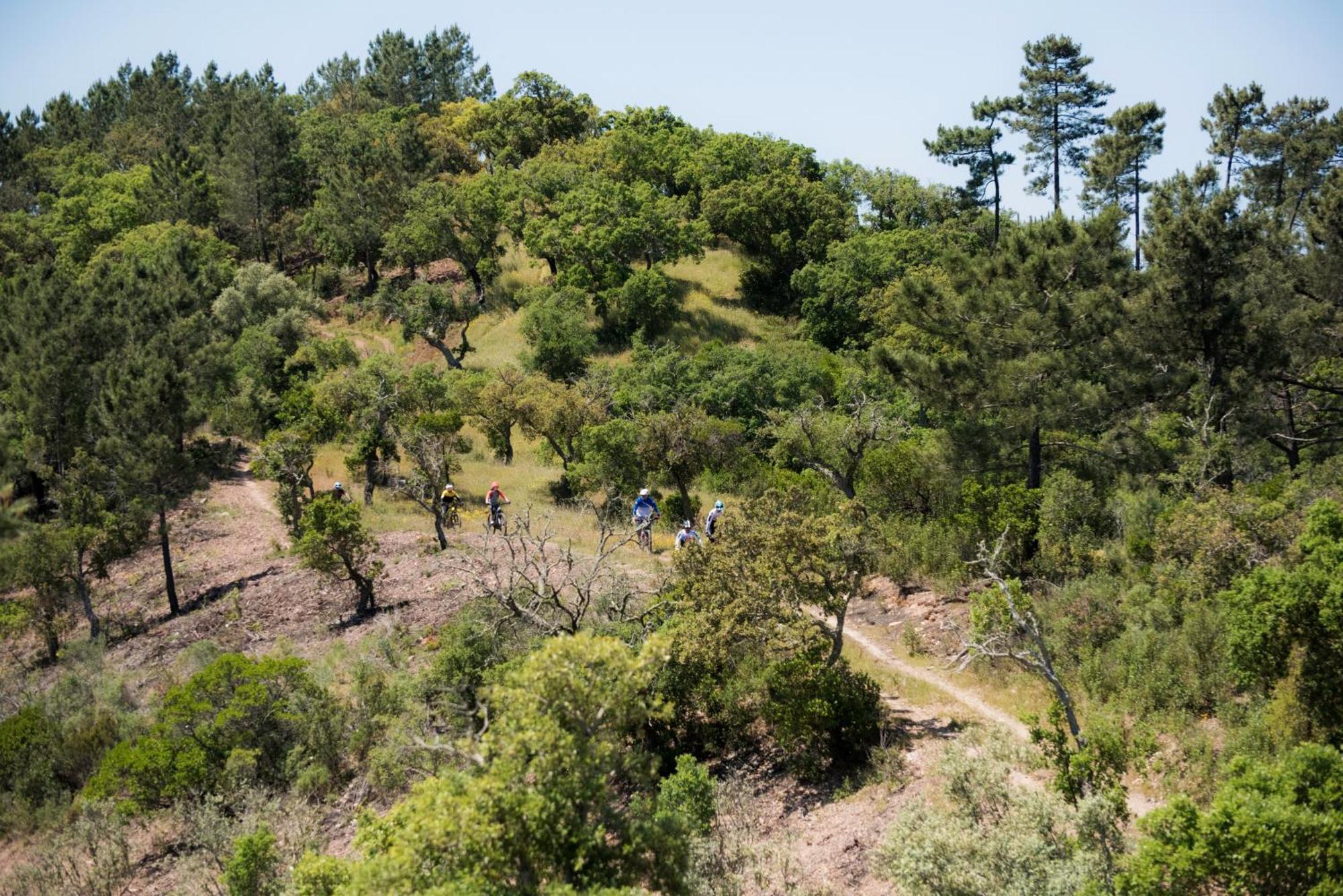 Herdade Das Barradas Da Serra Грандола Экстерьер фото