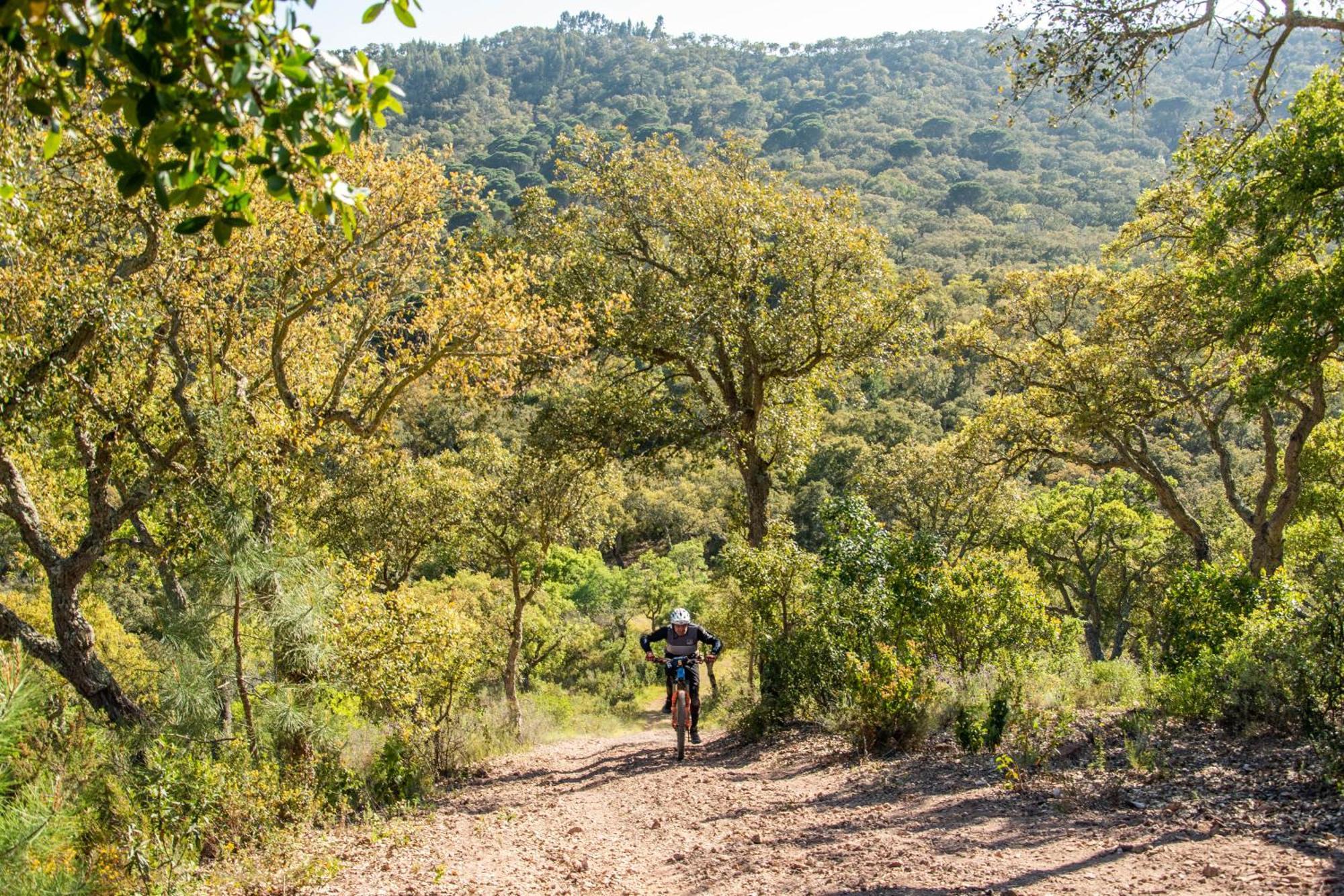 Herdade Das Barradas Da Serra Грандола Экстерьер фото