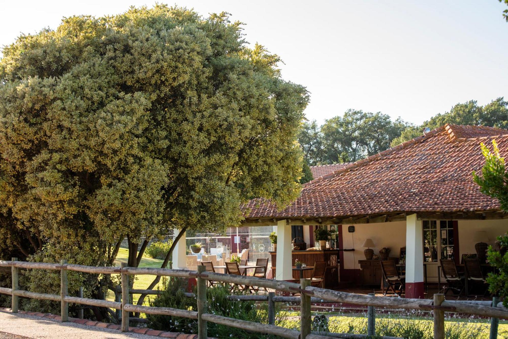 Herdade Das Barradas Da Serra Грандола Экстерьер фото