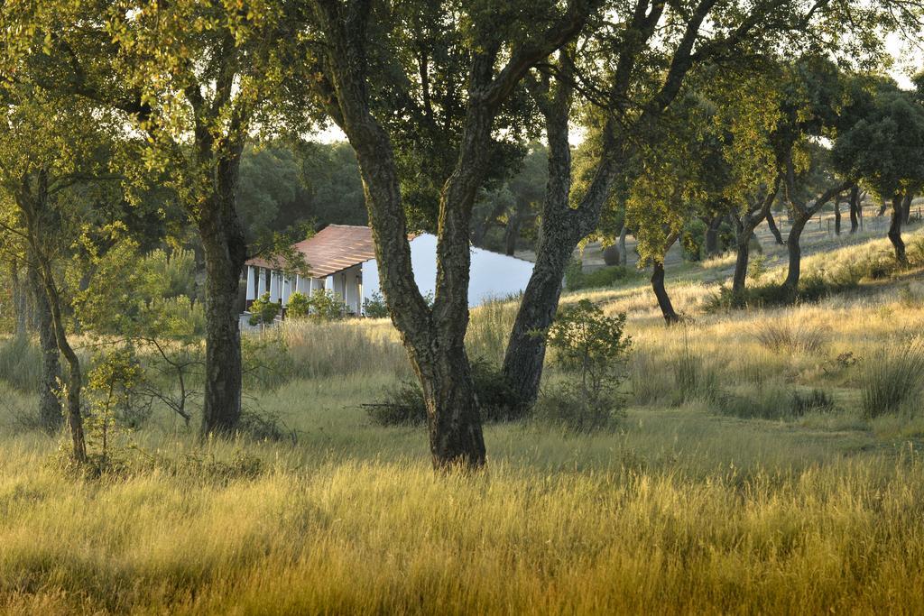 Herdade Das Barradas Da Serra Грандола Экстерьер фото