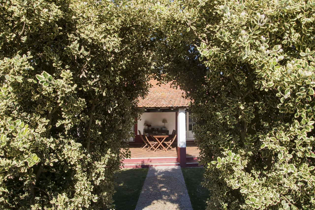 Herdade Das Barradas Da Serra Грандола Экстерьер фото