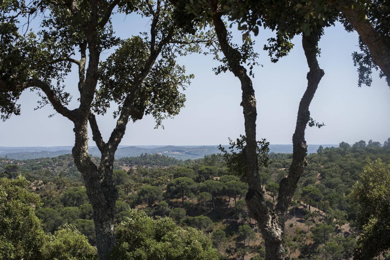 Herdade Das Barradas Da Serra Грандола Экстерьер фото